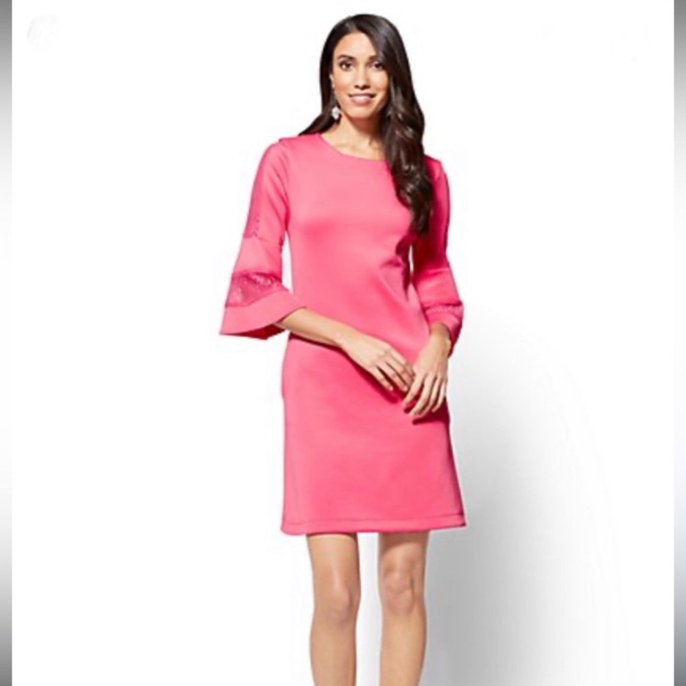 NWT New York & Company Pink Shift Dress with Lace Sleeves in Size Small